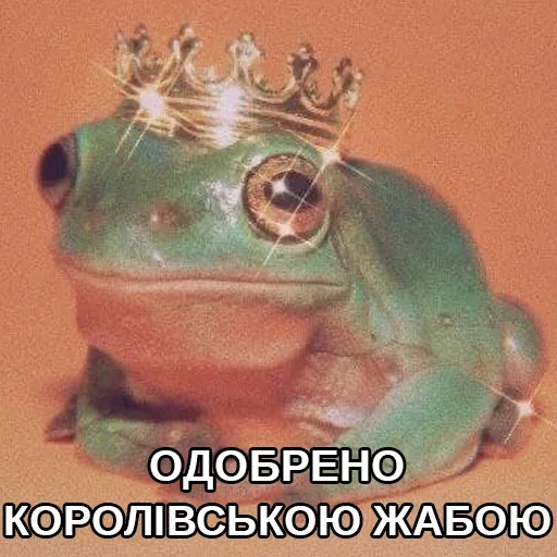 Стикер из набора жаби йопта для Телеграм: Статические 😌